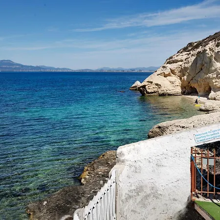 Celeste קליארי